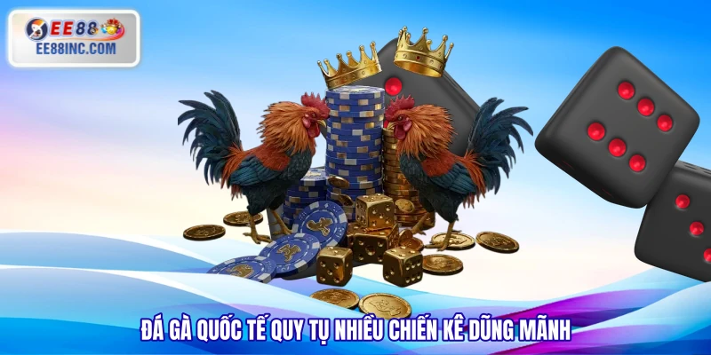 Đá gà quốc tế quy tụ nhiều chiến kê dũng mãnh Đá gà quốc tế quy tụ nhiều chiến kê dũng mãnh