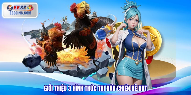 Giới thiệu 3 hình thức thi đấu chiến kê hot Giới thiệu 3 hình thức thi đấu chiến kê hot