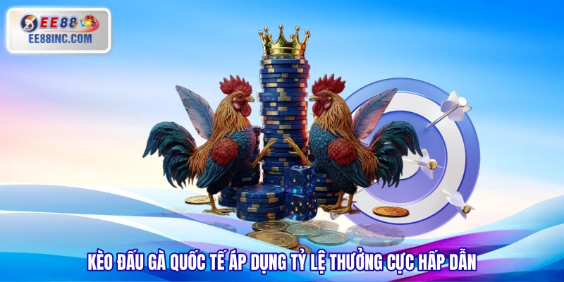 Kèo đấu gà quốc tế áp dụng tỷ lệ thưởng cực hấp dẫn Kèo đấu gà quốc tế áp dụng tỷ lệ thưởng cực hấp dẫn